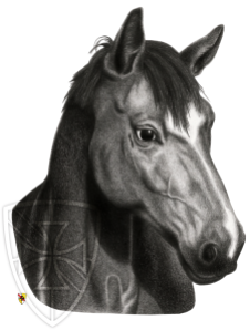 Blaze Portrait of a horse
